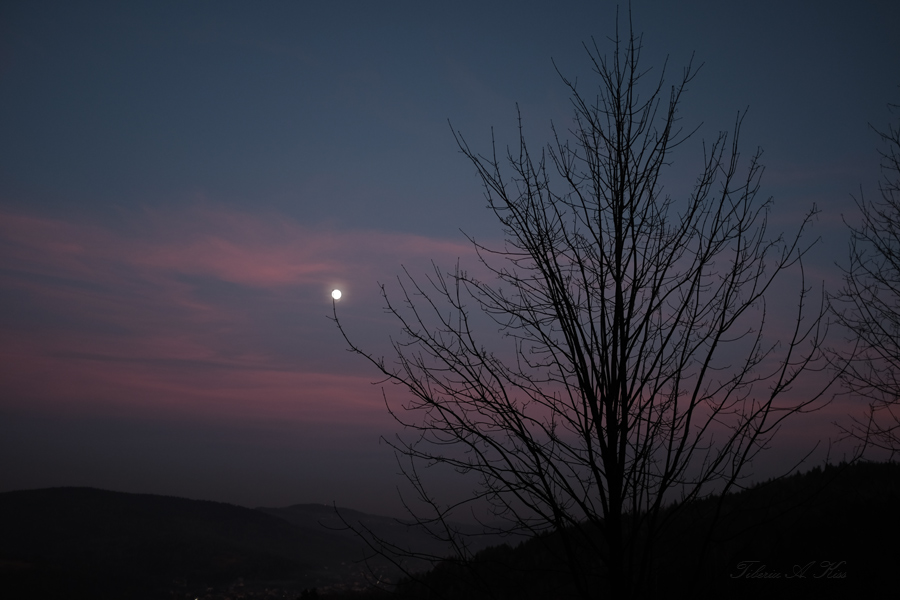 36 :: Foolmoon